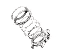 Bidirectional bezel system – Rolex