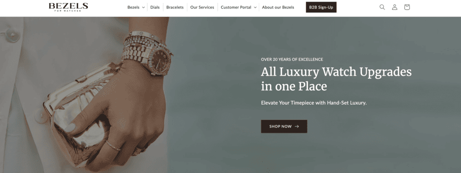 what-is-bezels-for-watches