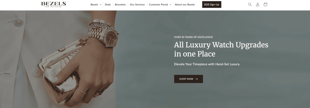what-is-bezels-for-watches