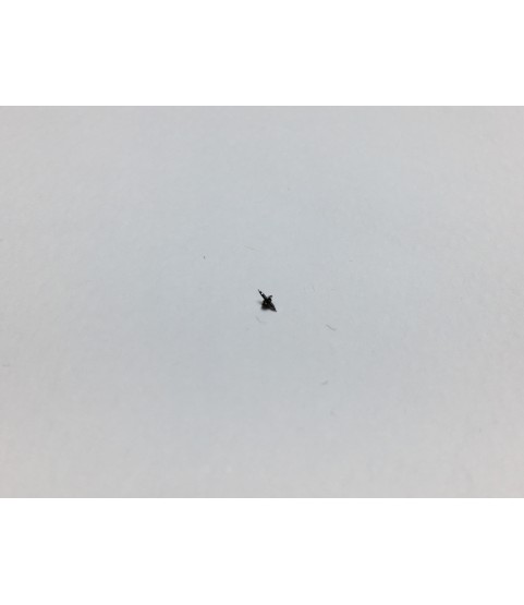 Rolex 3035-5020 replacement balance staff part