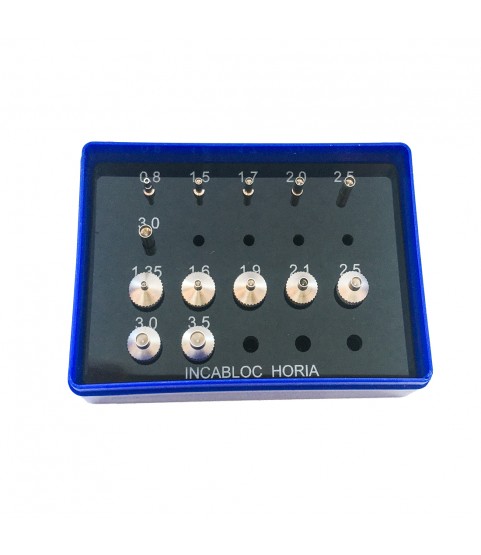 Horia INCA Jewelling assortment of 7 stakes and 6 pushers with a shank Ø 3mm