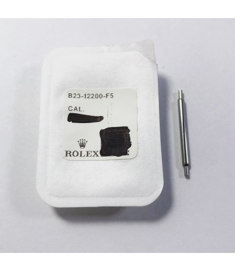 New Rolex Watches Spring Bars (19.8 mm) for 5512, 1019, 14060, 1655, 16550, 1675