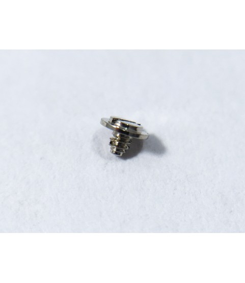 Omega 1120 (ETA 2892-2) screw part