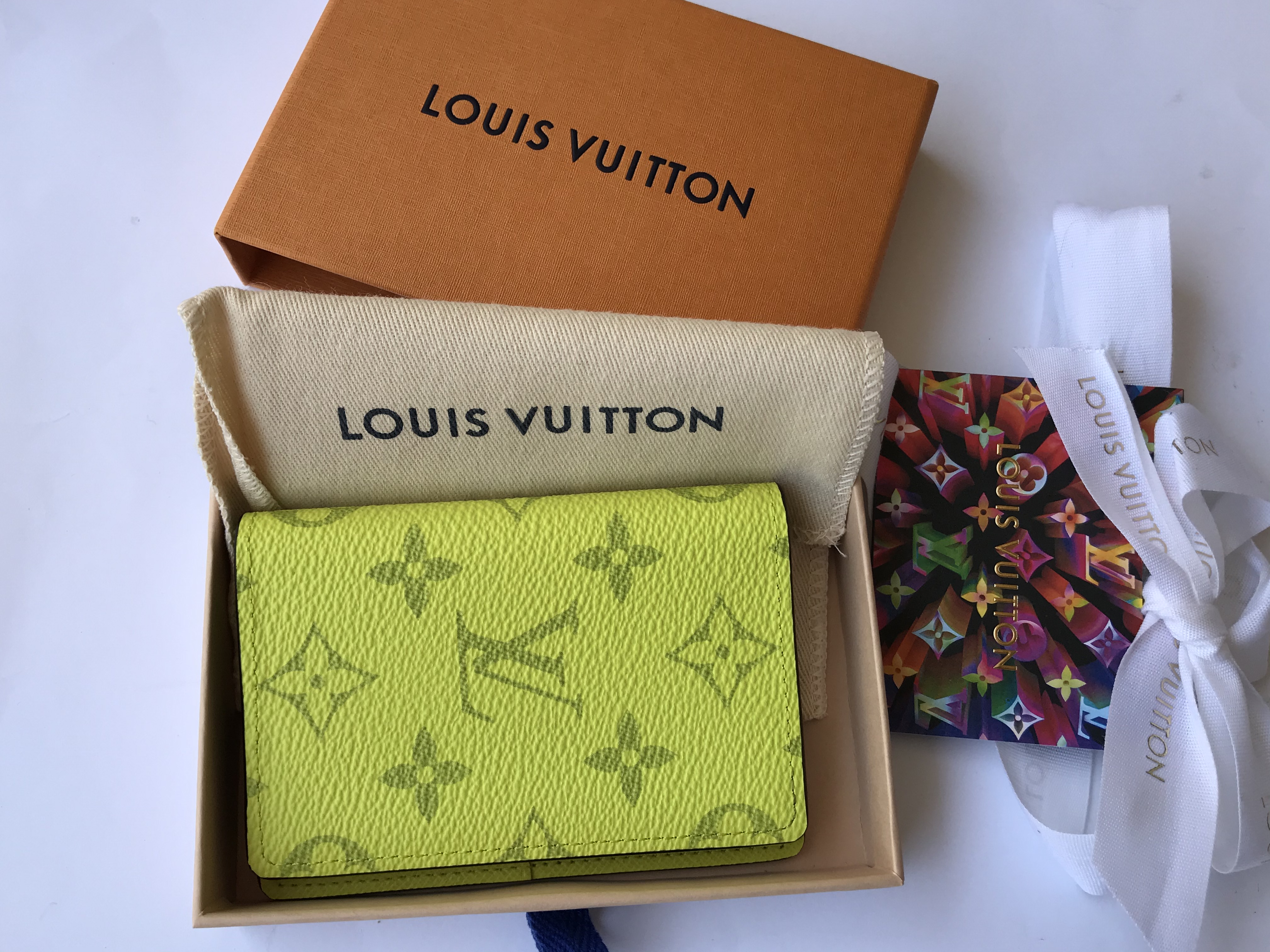 New Louis Vuitton pocket organizer M30318 green Taigarama Jaune