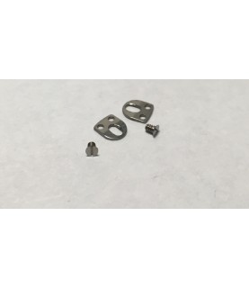 ETA 2391 casing clamps parts 166