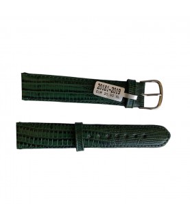 Teju Lizard XL leather strap for watches in green color 20 mm silver tone buckle
