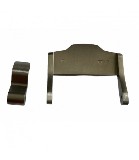 Audemars Piguet titanium silicone rubber strap buckle 24mm titane