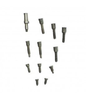 Jaeger-LeCoultre 476/2 set of 12 screws
