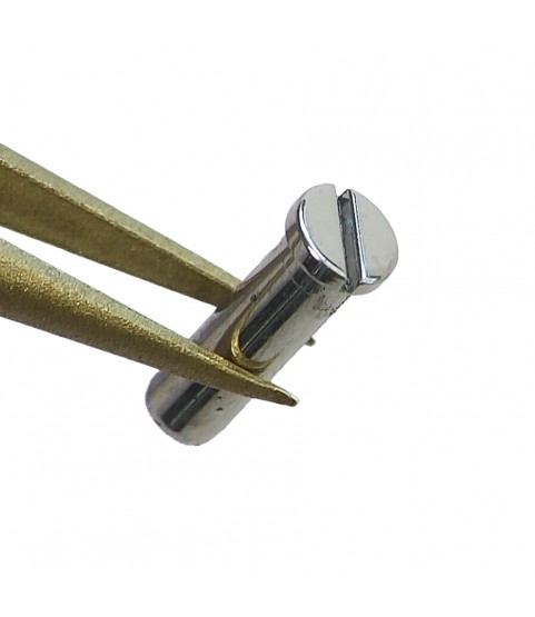 New Audemars Piguet 15202 white gold case back screws