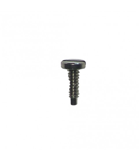 New Patek Philippe calibre 324 screw part