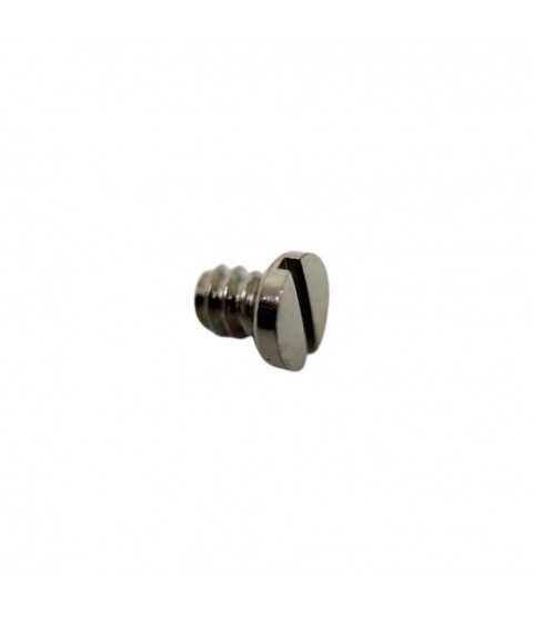 Screw for ETA calibers 2890, 2892, 2893