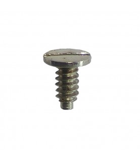 Seiko 6138B screw part