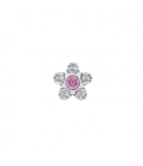 Studex steel April Crystal & October Rose Earrings, 5mm, 7512-6410 Studex steel April Crystal & October Rose Earrings, 5mm, 7512-6410